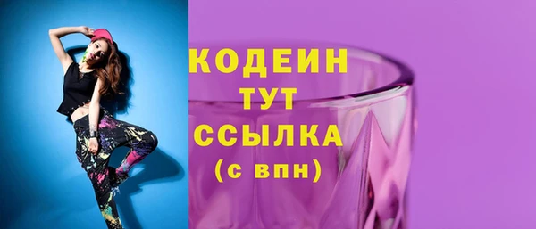 шишки Нягань