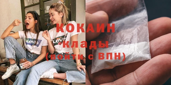 шишки Нягань