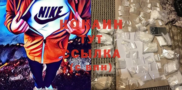 шишки Нягань