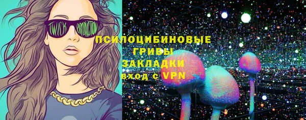шишки Нягань